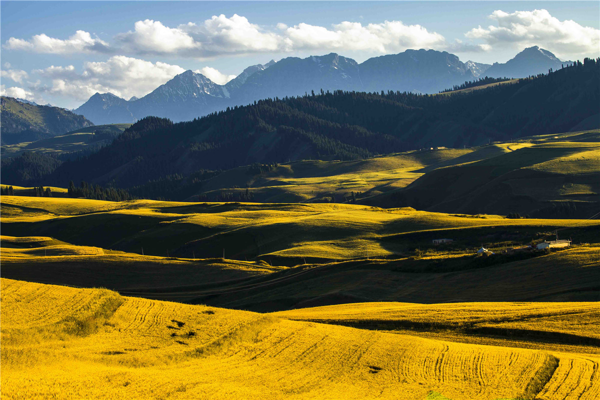 �������˷��1 (8).jpg