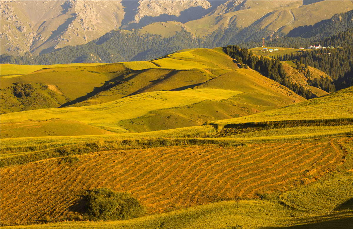 �������˷��1 (9).jpg