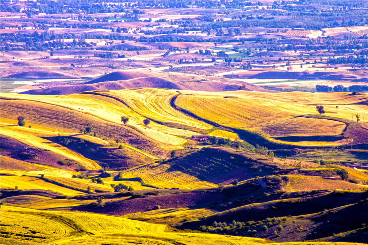 �������˷��1 (15).jpg