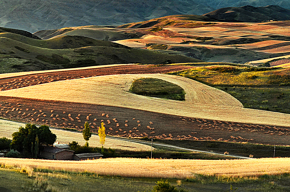 ͣ����  ������13899523109