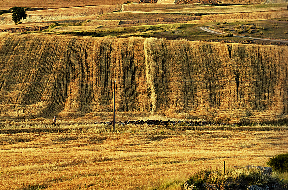 �ٲ� ����13899523109