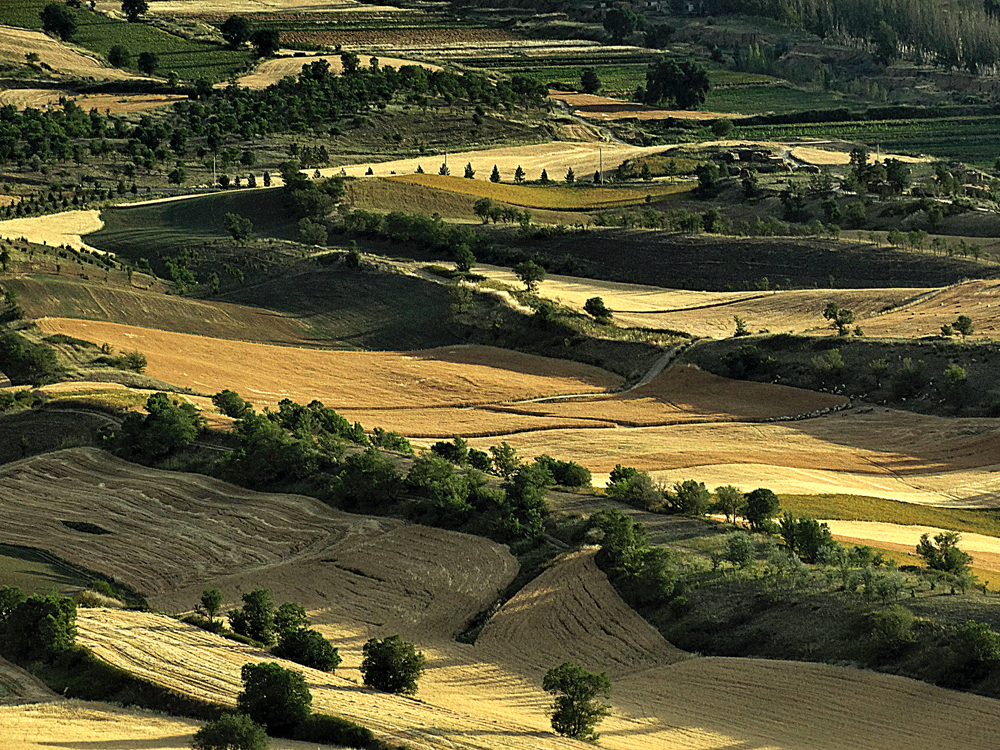 ��ɫ  ������13899523109