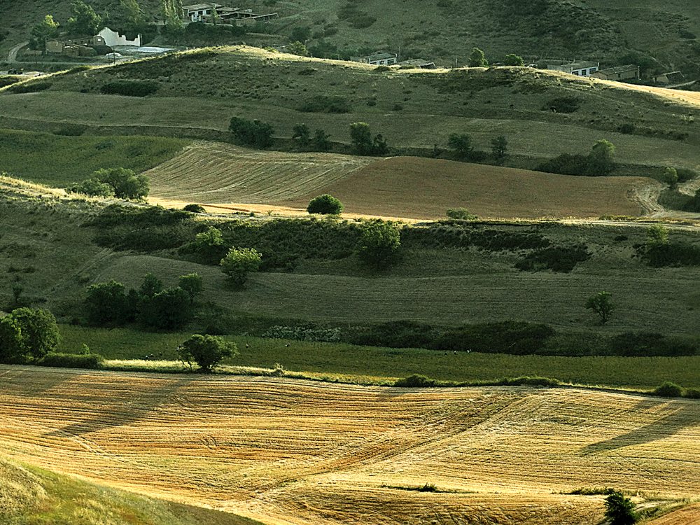 ������  ����13899523109