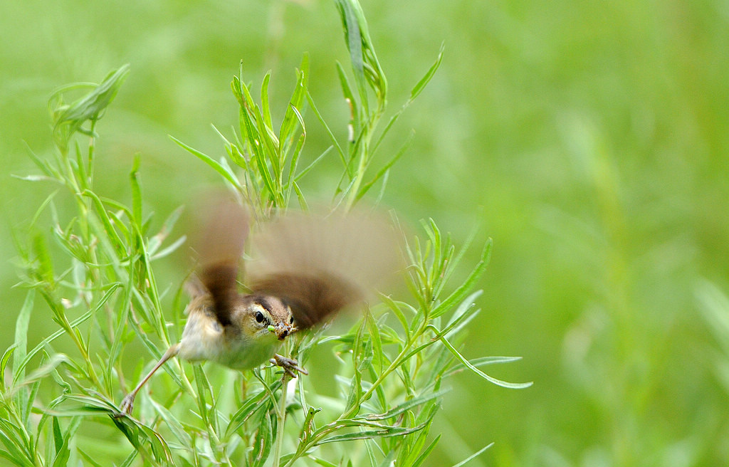 4  ��üέ��.jpg