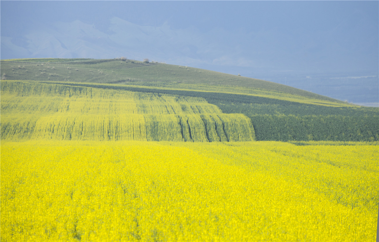 �����Ļ���  7��13�� (1).jpg