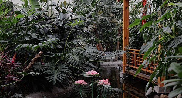 2014��8��30���Ŵ��� a02612.jpg