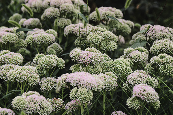 2014��8��30���Ŵ��� a00612.jpg