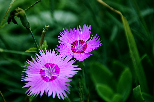 2014��8��30���Ŵ��� a01312.jpg