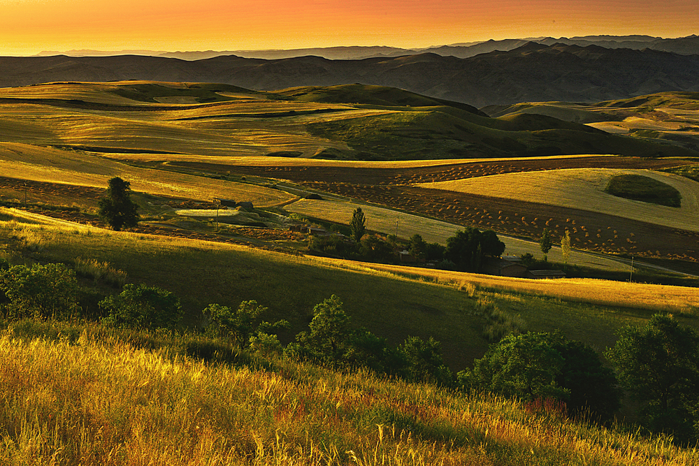 ����  ������13899523109