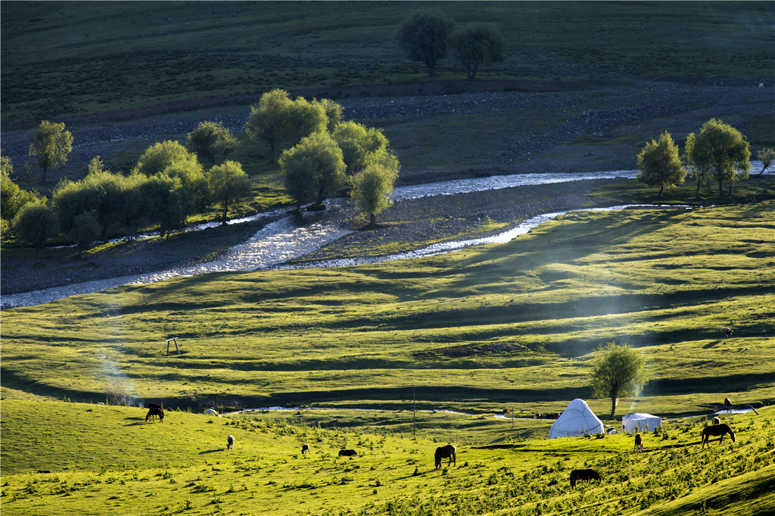 ���� (2).jpg