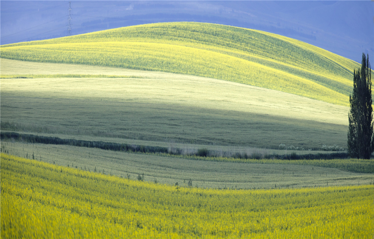 ��������   (2).jpg