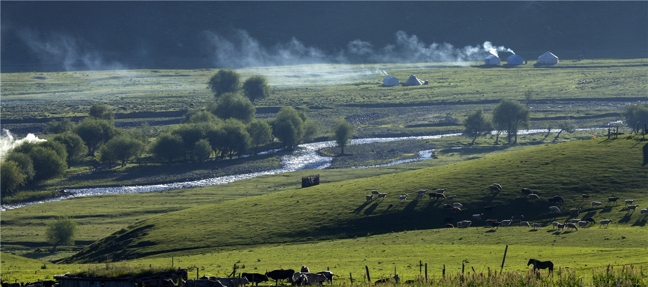 ���� (3).jpg