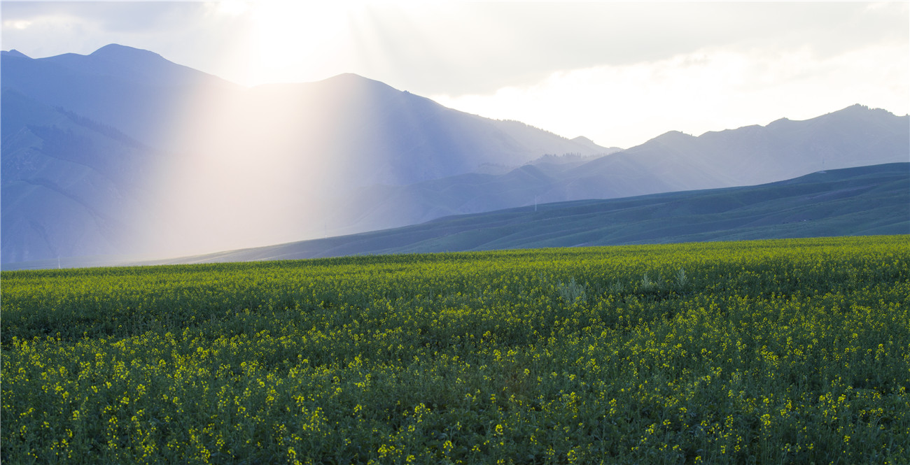 ��â����  (4).jpg