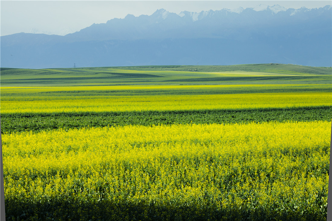 �������   (5).jpg