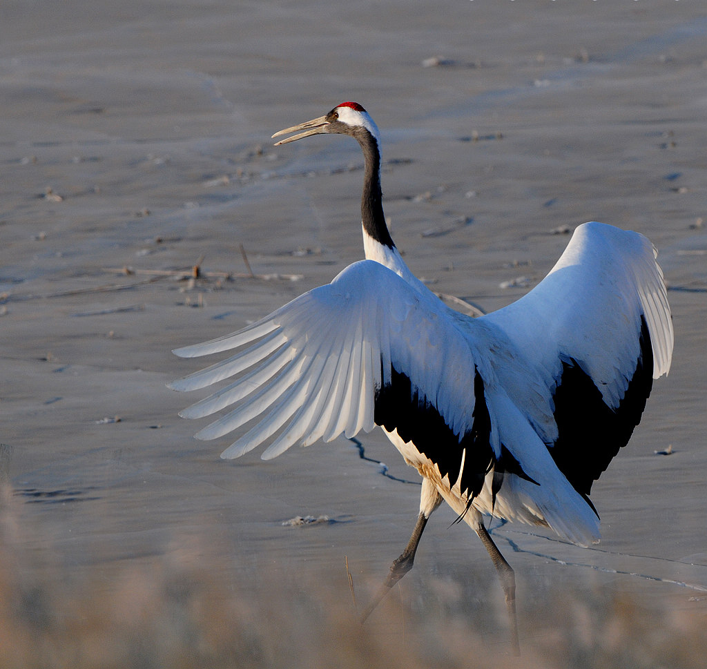 2DSC_0022����  11.jpg