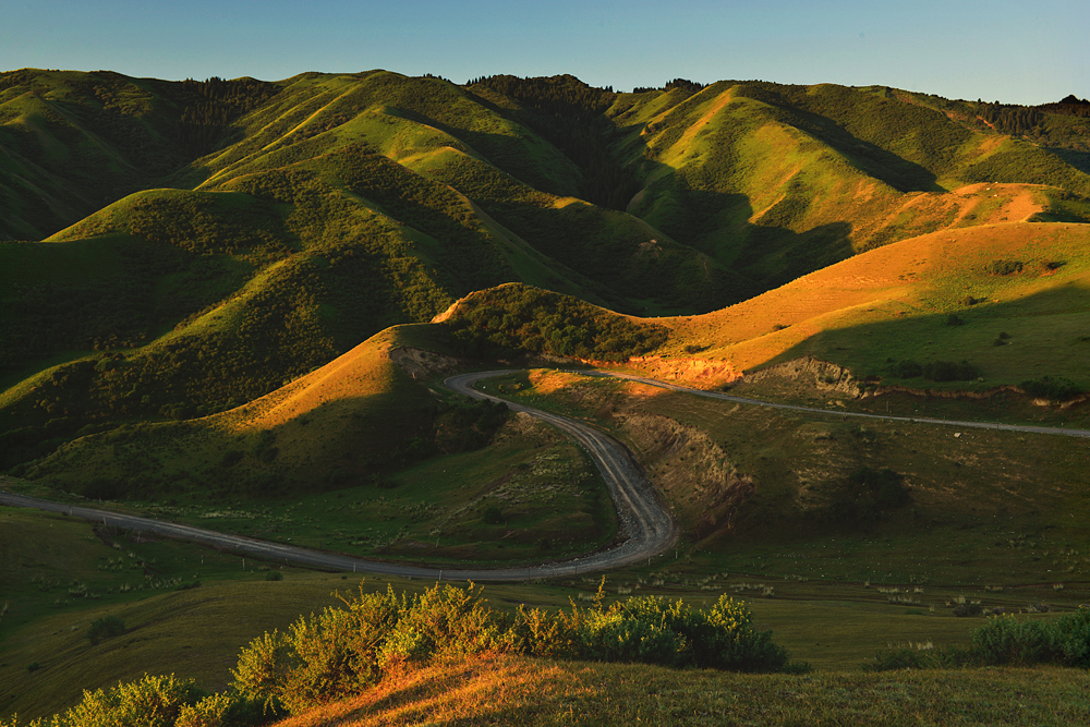 ɽ��  ���� 13899523109