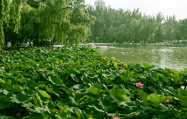 2014��8��24����Ȫ�Һӱ�׼ a07212.jpg