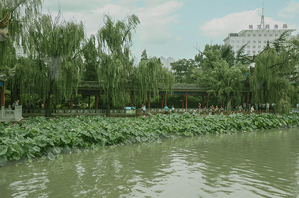 2014��8��24����Ȫ�Һӱ�׼a 07012.jpg