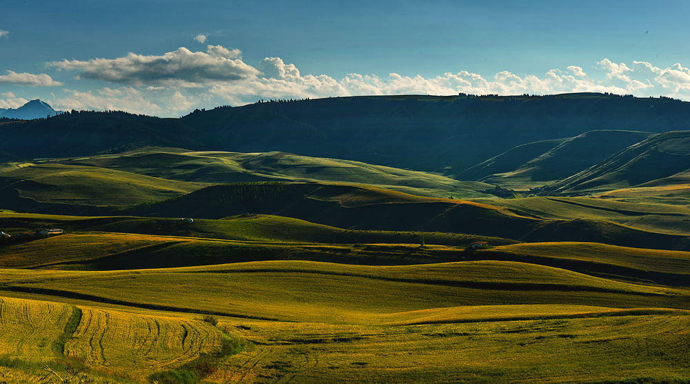 ����  ����13899523109