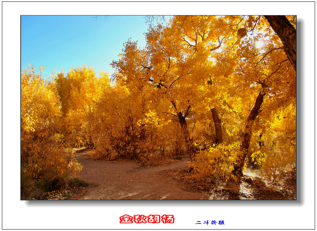 Ѱ�ٹ�˿· 453_����_����.jpg