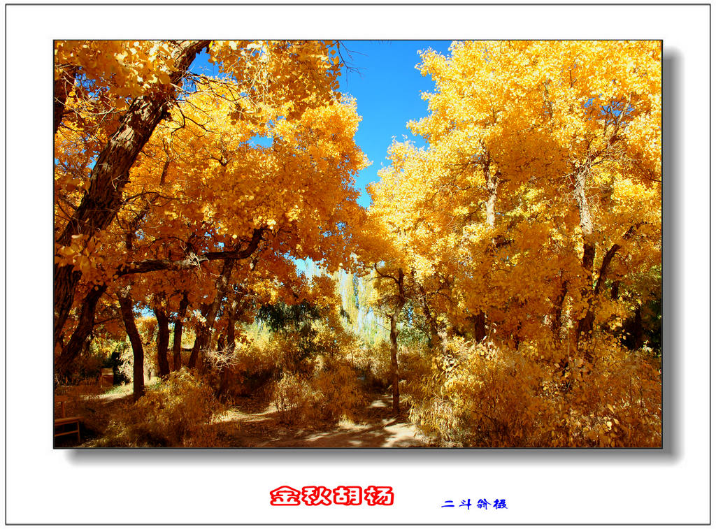 Ѱ�ٹ�˿· 454_����.jpg