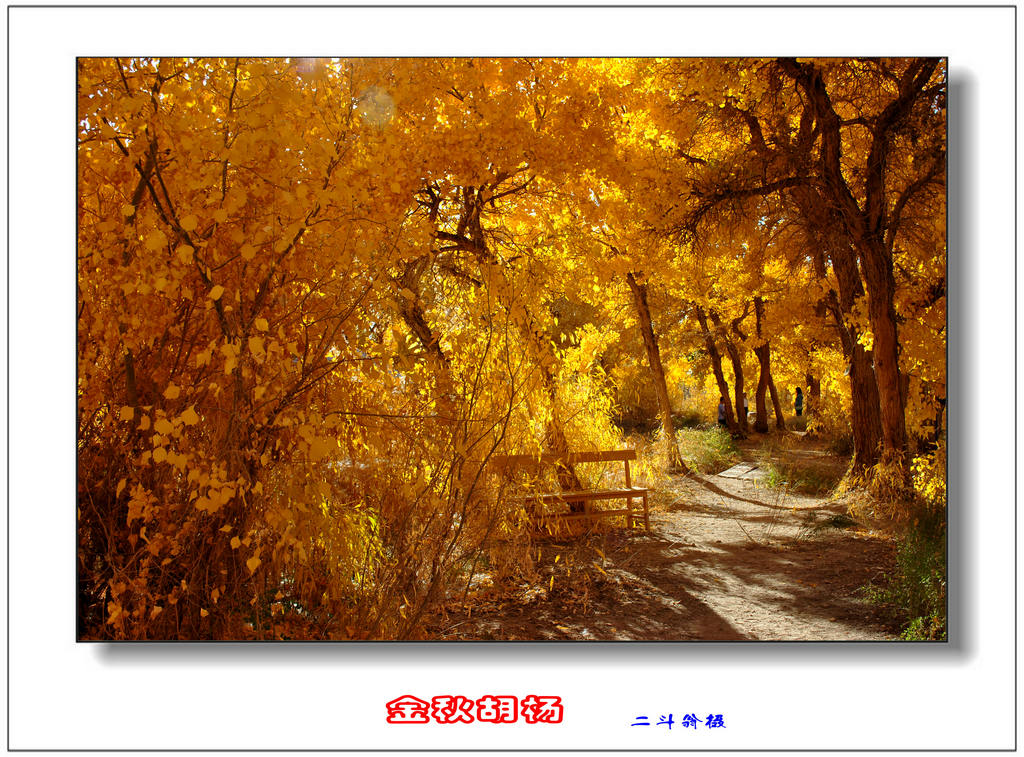 Ѱ�ٹ�˿· 459_����.jpg