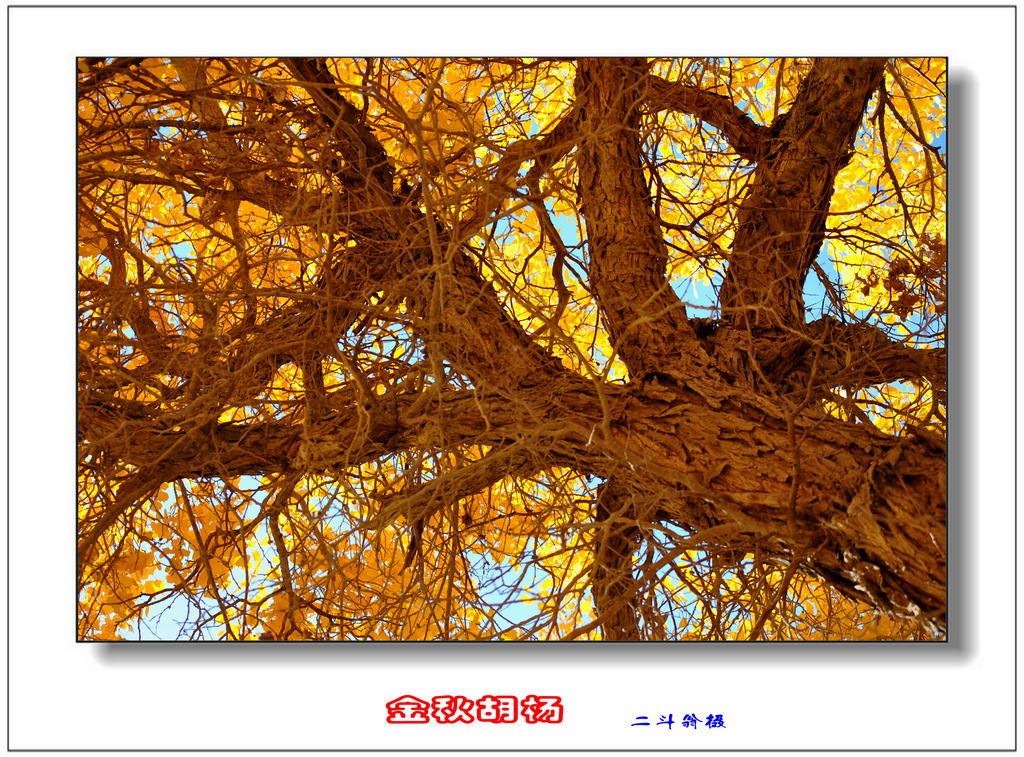 Ѱ�ٹ�˿· 464_����.jpg