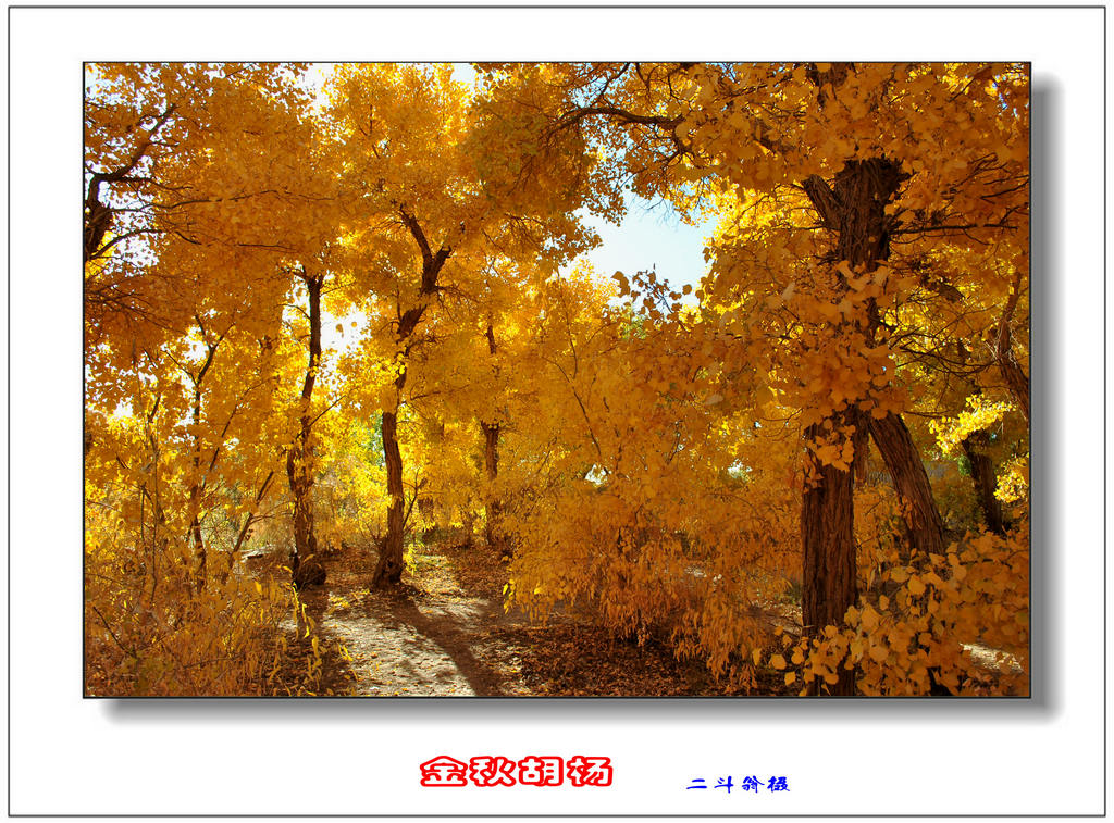 Ѱ�ٹ�˿· 470_����.jpg