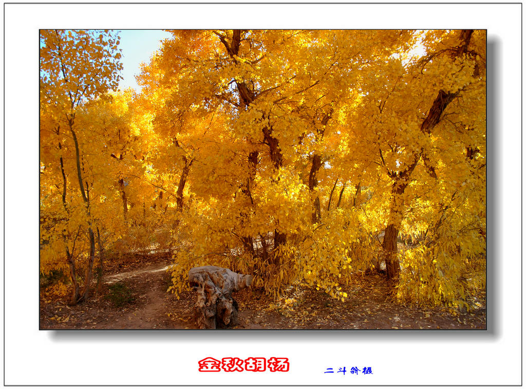 Ѱ�ٹ�˿· 477_����.jpg