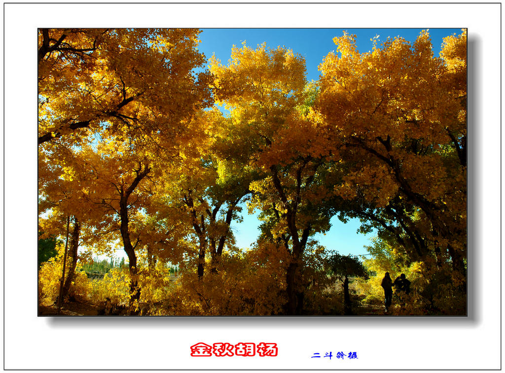 Ѱ�ٹ�˿· 499_����.jpg