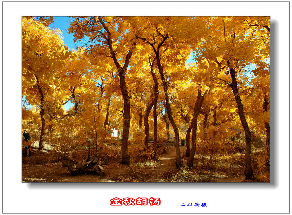 Ѱ�ٹ�˿· 504_����.jpg