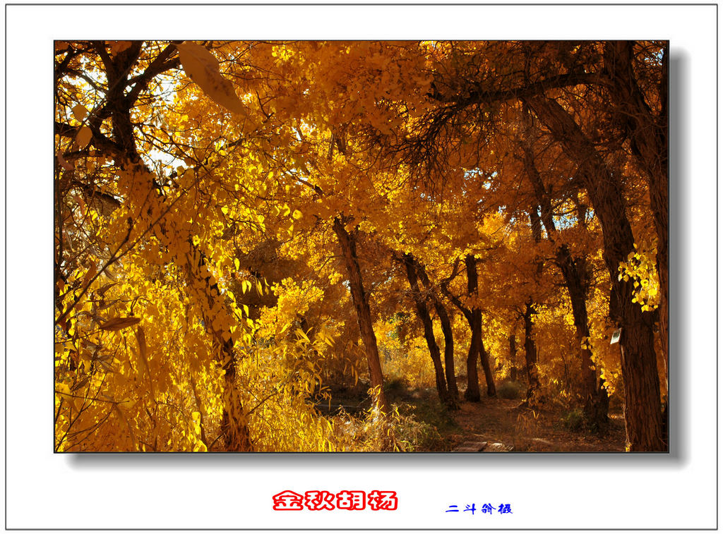 Ѱ�ٹ�˿· 526_����.jpg