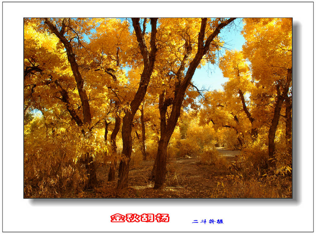 Ѱ�ٹ�˿· 537_����.jpg