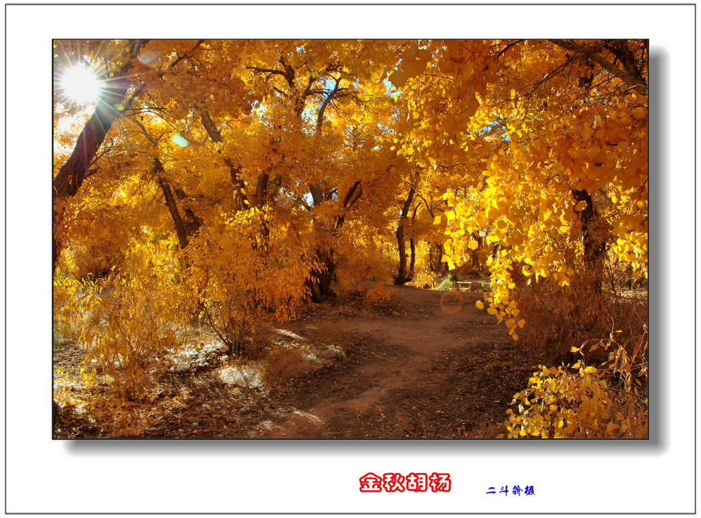 Ѱ�ٹ�˿· 539_����.jpg