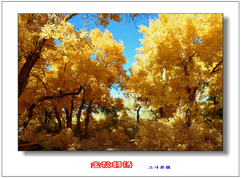 Ѱ�ٹ�˿· 544_����.jpg