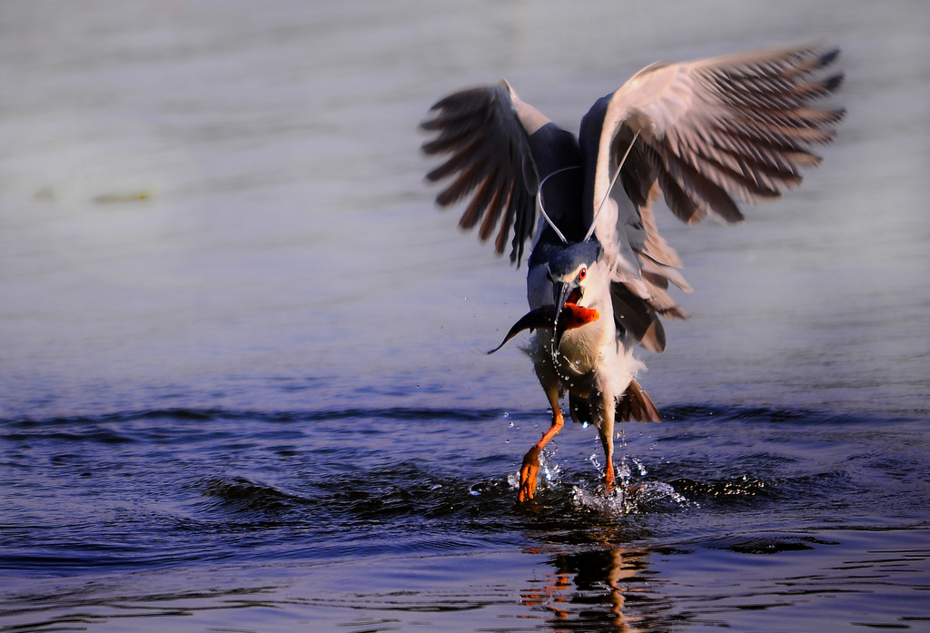 yl 579--��ͼ.jpg