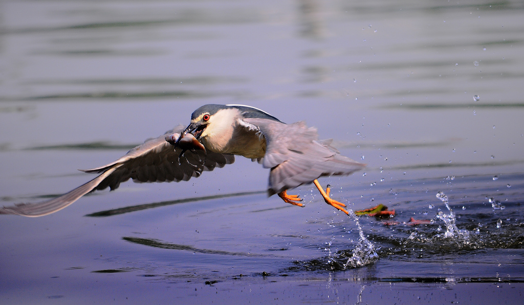 yl 490--��ͼ.jpg