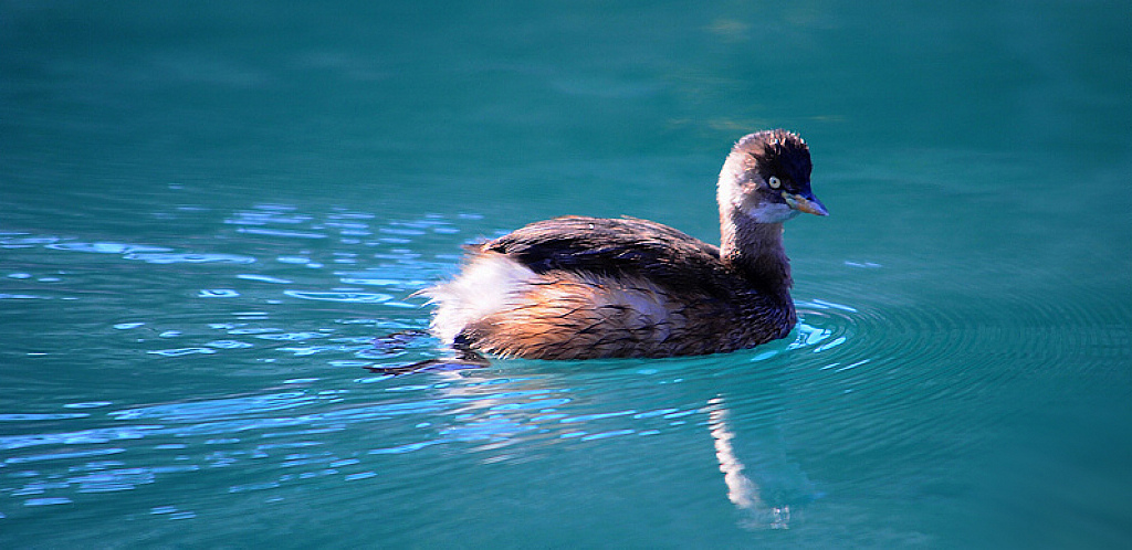 yl  1029��ͼ.jpg