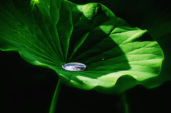 2014��7��7�չ�԰�ɻ���Ƭ a06712.jpg