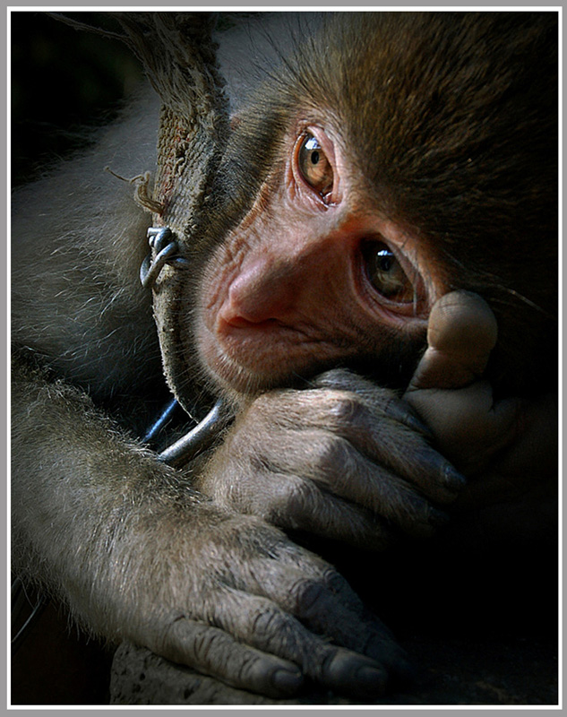 ���⡶����ؼҡ����ߣ������� ��ַ������ʡ�˷��ع������ֹ�˾ �绰��18070553567.jpg