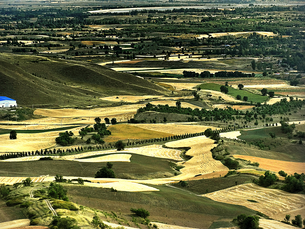 ����  ����13899523109