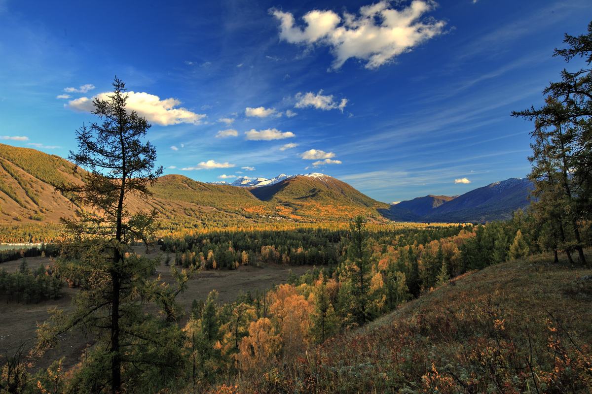 IMG_5166 - ����.jpg