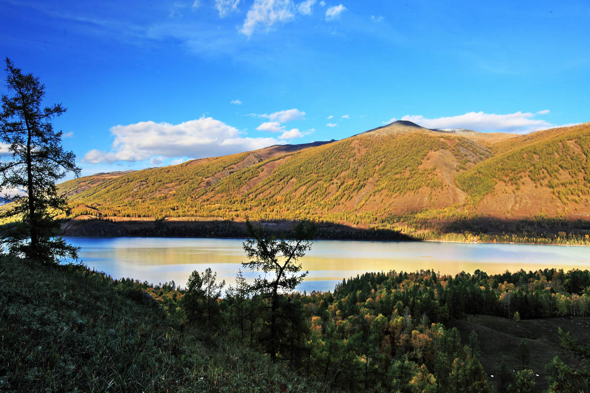 IMG_5171 - ����.jpg