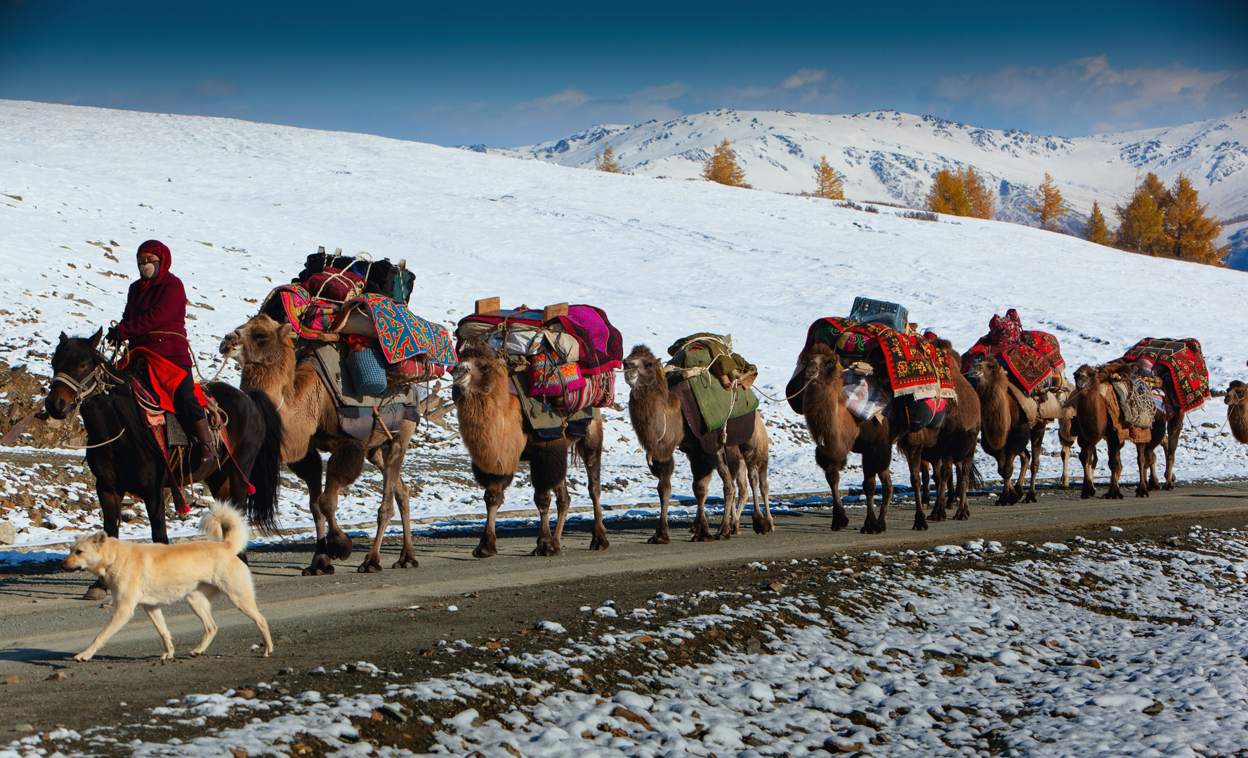 ����̩9�µ�һ��ѩ����ʼ��ɽ