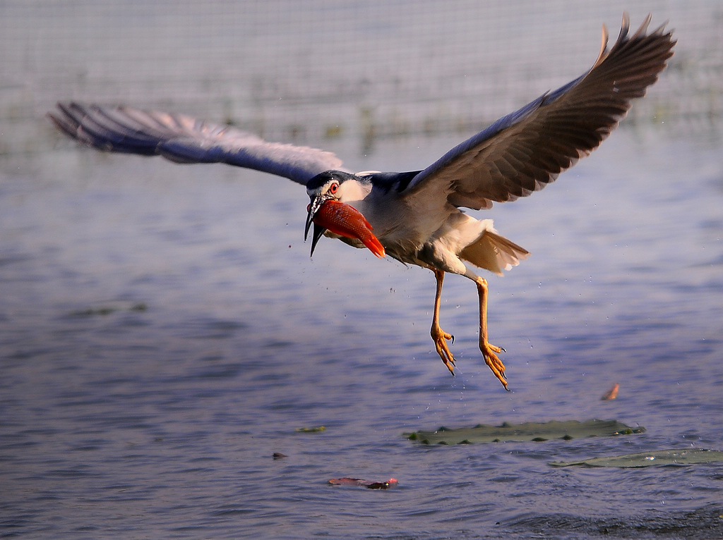 yl 349--��ͼ.jpg