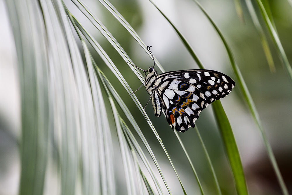 IMG_9269 -2����.jpg