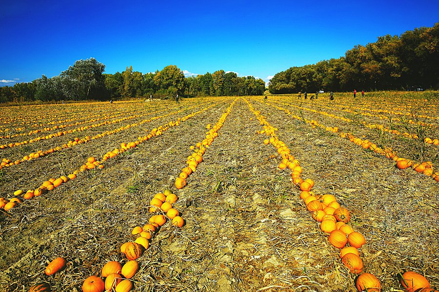 479A9601 - ����.JPG