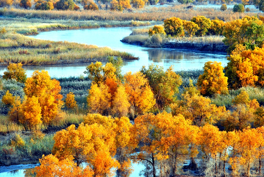 ������ 296_����_����.jpg