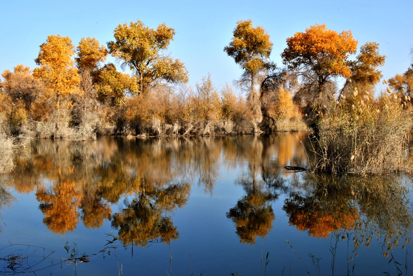 ������ (7).jpg