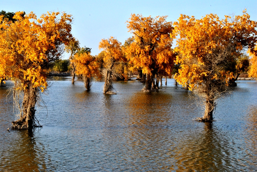 ������ (3).jpg